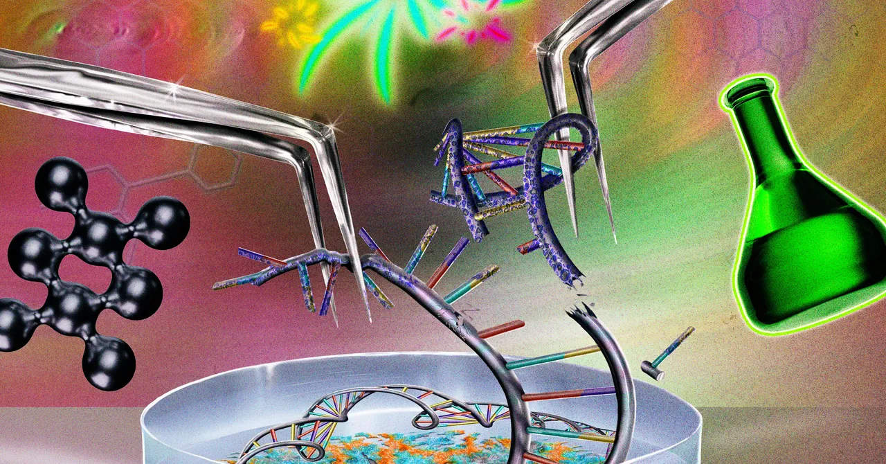 Can We “Reset” Autoimmunity? Why CAR-T Therapy Is Making Headlines in 2025